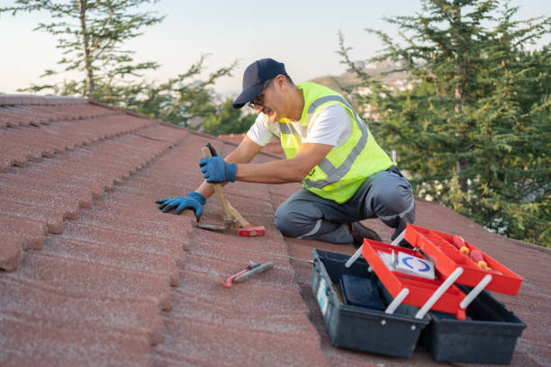 Best Flat Roof Repair Services  in Olean, NY
