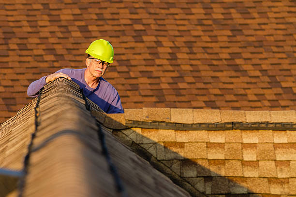 Best Roof Gutter Cleaning  in Olean, NY